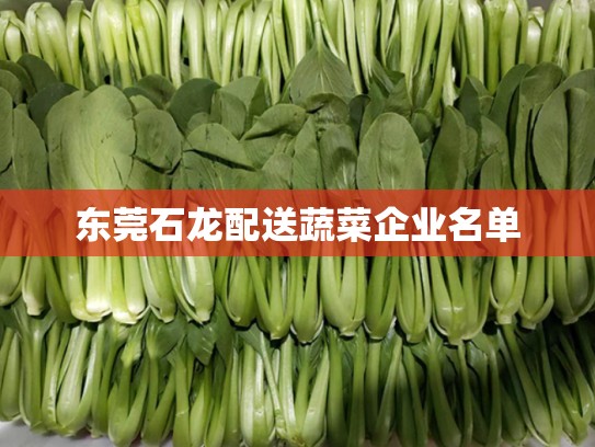 东莞石龙配送蔬菜企业名单