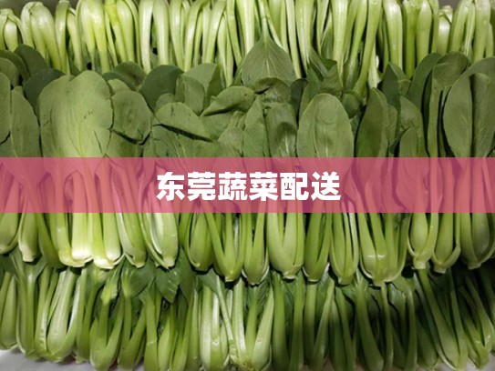 东莞蔬菜配送