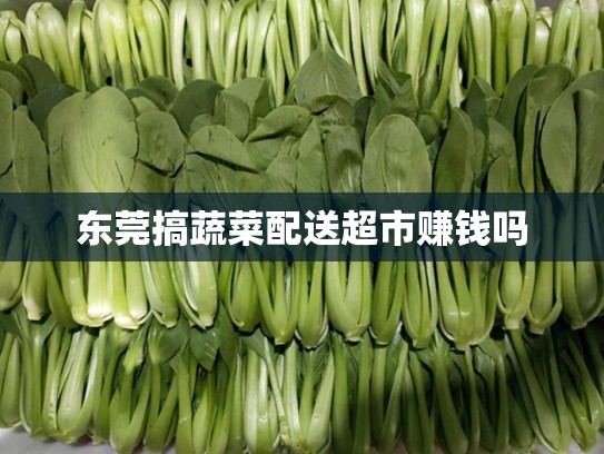 东莞搞蔬菜配送超市赚钱吗