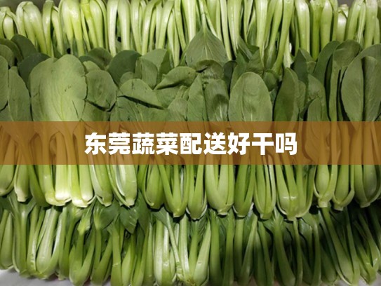 东莞蔬菜配送好干吗