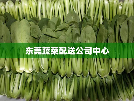 东莞蔬菜配送公司中心
