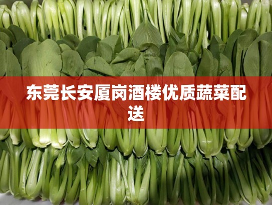 东莞长安厦岗酒楼优质蔬菜配送