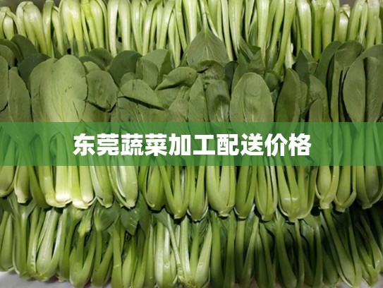 东莞蔬菜加工配送价格
