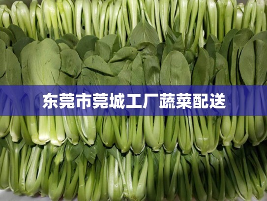 东莞市莞城工厂蔬菜配送