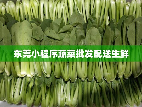 东莞小程序蔬菜批发配送生鲜