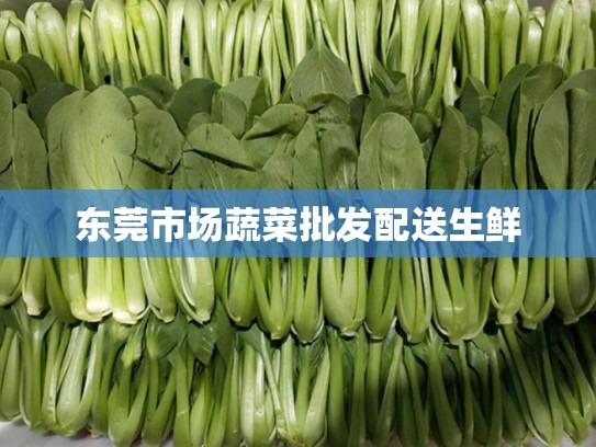 东莞市场蔬菜批发配送生鲜
