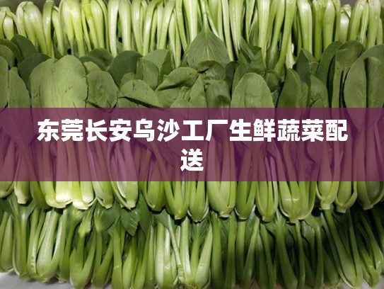 东莞长安乌沙工厂生鲜蔬菜配送