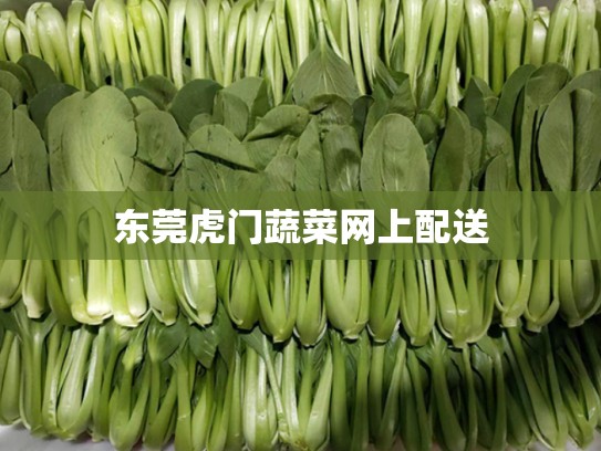 东莞虎门蔬菜网上配送