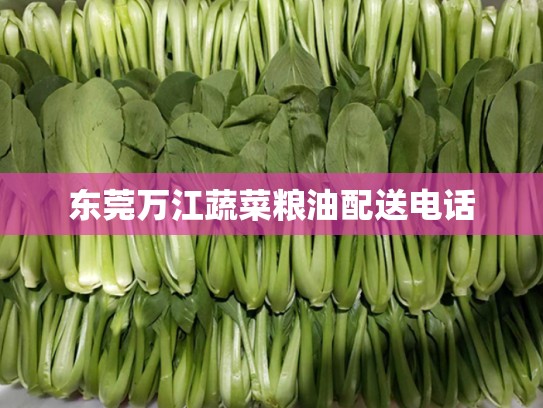 东莞万江蔬菜粮油配送电话