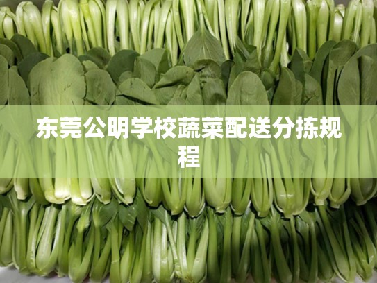 东莞公明学校蔬菜配送分拣规程