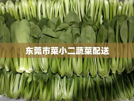 东莞市菜小二蔬菜配送