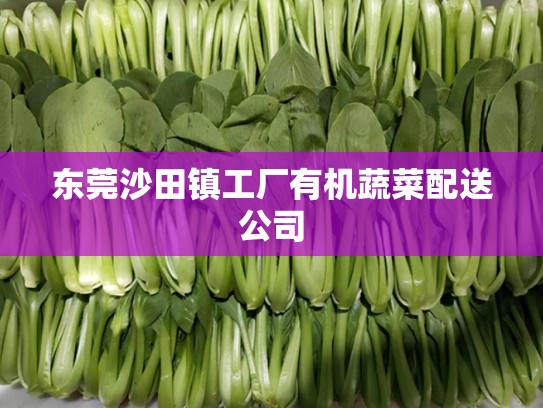 东莞沙田镇工厂有机蔬菜配送公司