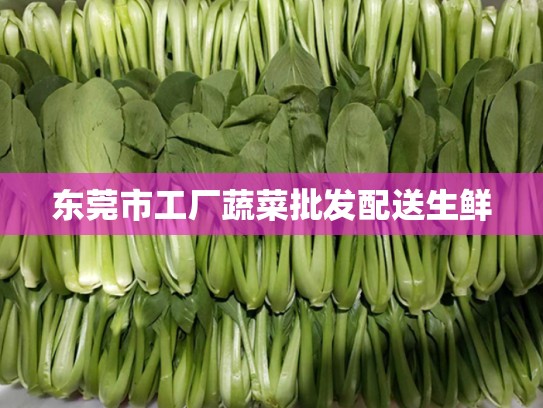 东莞市工厂蔬菜批发配送生鲜