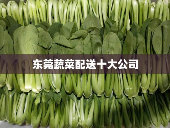东莞蔬菜配送十大公司