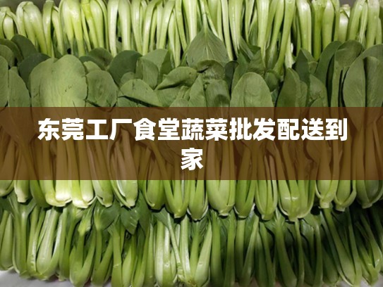 东莞工厂食堂蔬菜批发配送到家