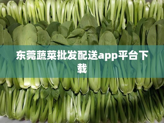 东莞蔬菜批发配送app平台下载