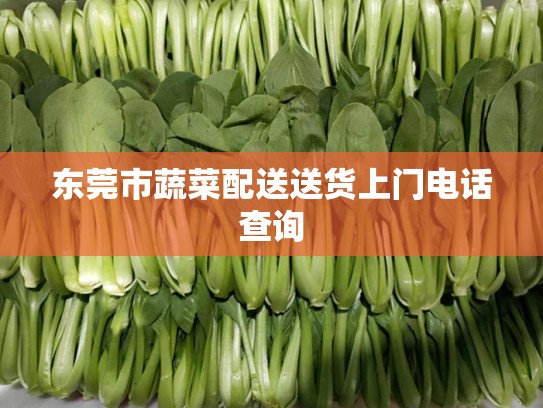 东莞市蔬菜配送送货上门电话查询