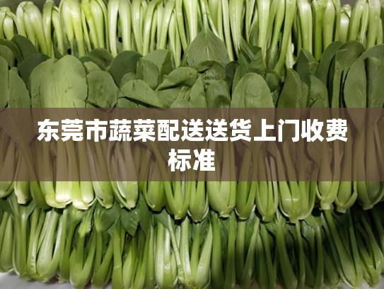 东莞市蔬菜配送送货上门收费标准