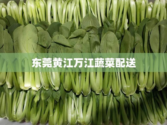 东莞黄江万江蔬菜配送