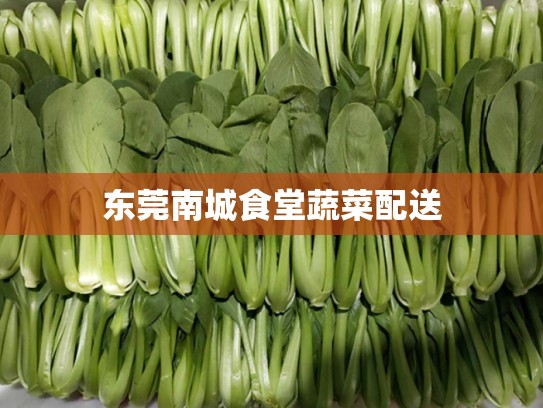 东莞南城食堂蔬菜配送