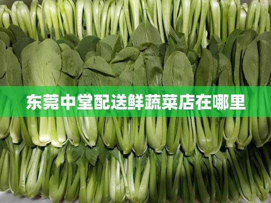 东莞中堂配送鲜蔬菜店在哪里