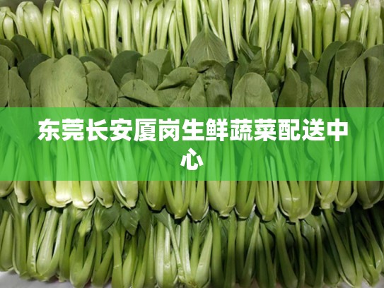 东莞长安厦岗生鲜蔬菜配送中心