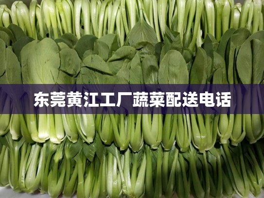 东莞黄江工厂蔬菜配送电话