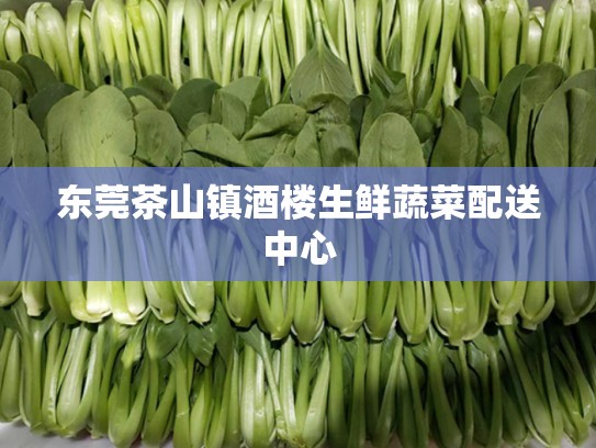 东莞茶山镇酒楼生鲜蔬菜配送中心