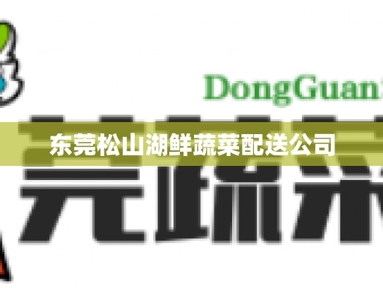 东莞松山湖鲜蔬菜配送公司