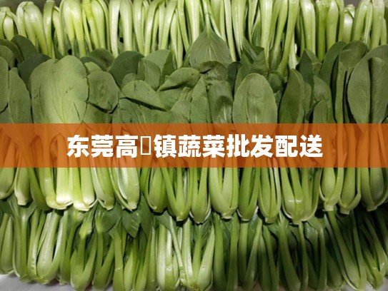 东莞高埗镇蔬菜批发配送