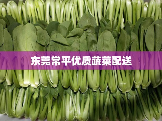 东莞常平优质蔬菜配送
