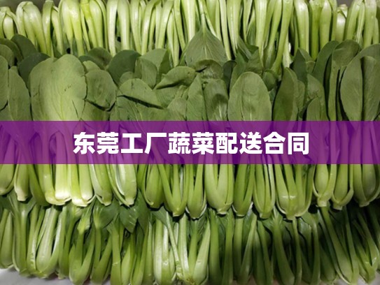 东莞工厂蔬菜配送合同