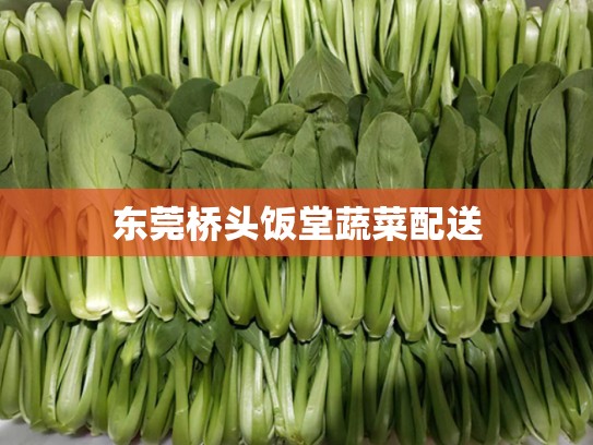 东莞桥头饭堂蔬菜配送