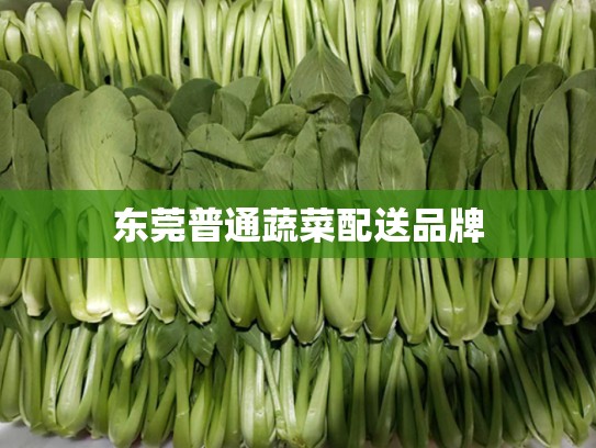 东莞普通蔬菜配送品牌