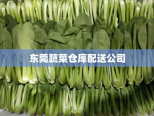 东莞蔬菜仓库配送公司
