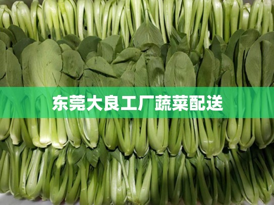 东莞大良工厂蔬菜配送