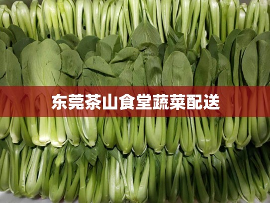 东莞茶山食堂蔬菜配送