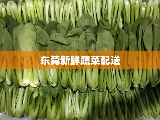 东莞新鲜蔬菜配送