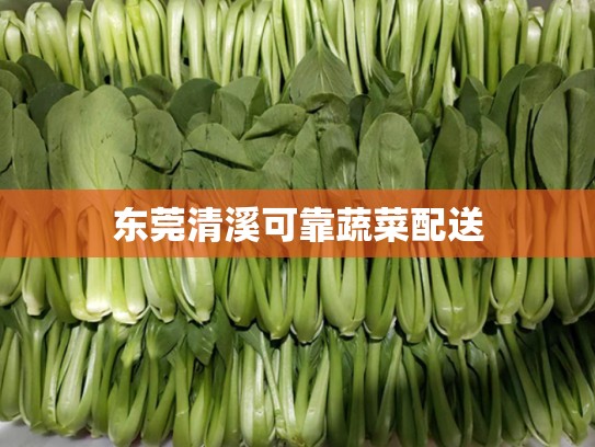 东莞清溪可靠蔬菜配送