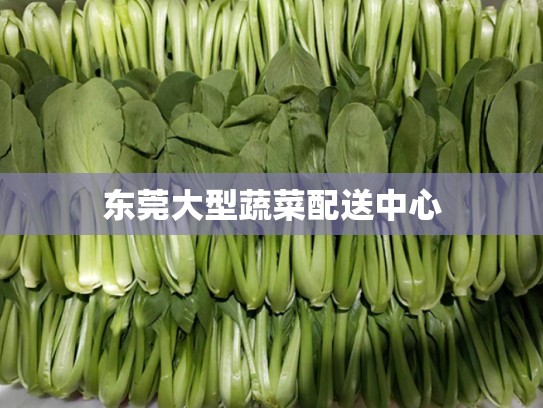 东莞大型蔬菜配送中心