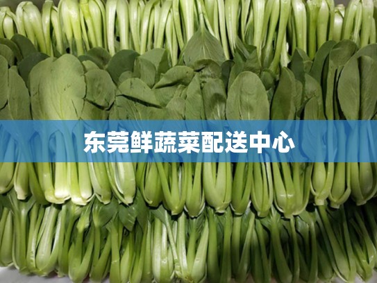 东莞鲜蔬菜配送中心