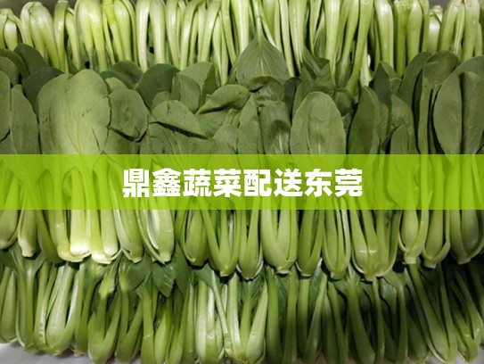 鼎鑫蔬菜配送东莞