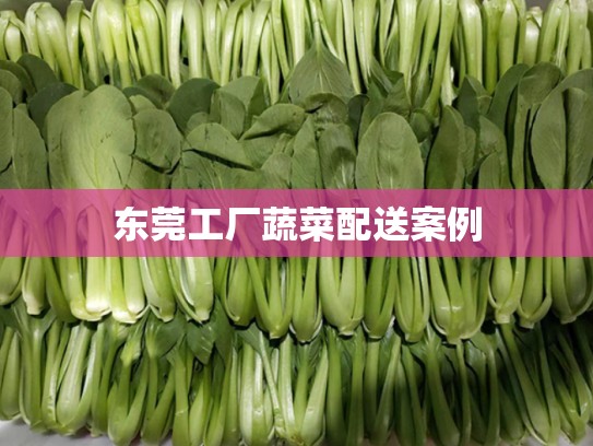 东莞工厂蔬菜配送案例