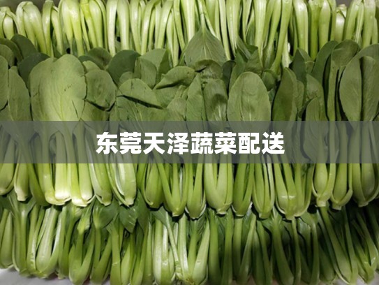 东莞天泽蔬菜配送