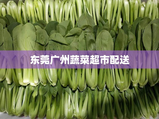 东莞广州蔬菜超市配送