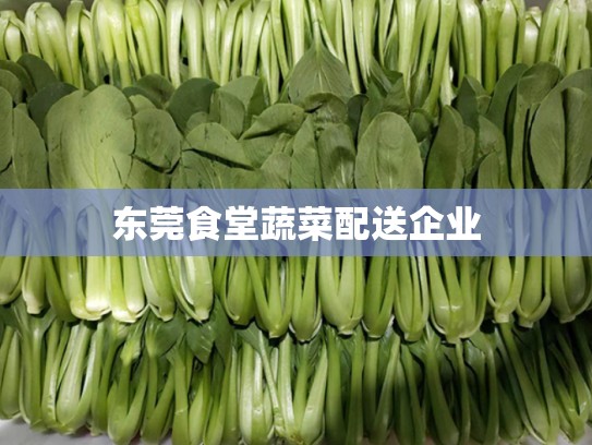 东莞食堂蔬菜配送企业