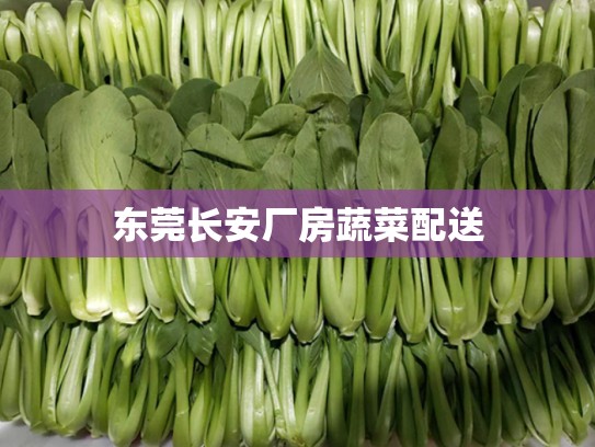 东莞长安厂房蔬菜配送