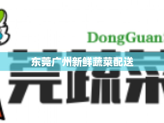 东莞广州新鲜蔬菜配送