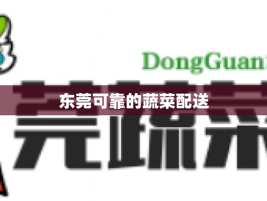 东莞可靠的蔬菜配送