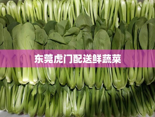 东莞虎门配送鲜蔬菜